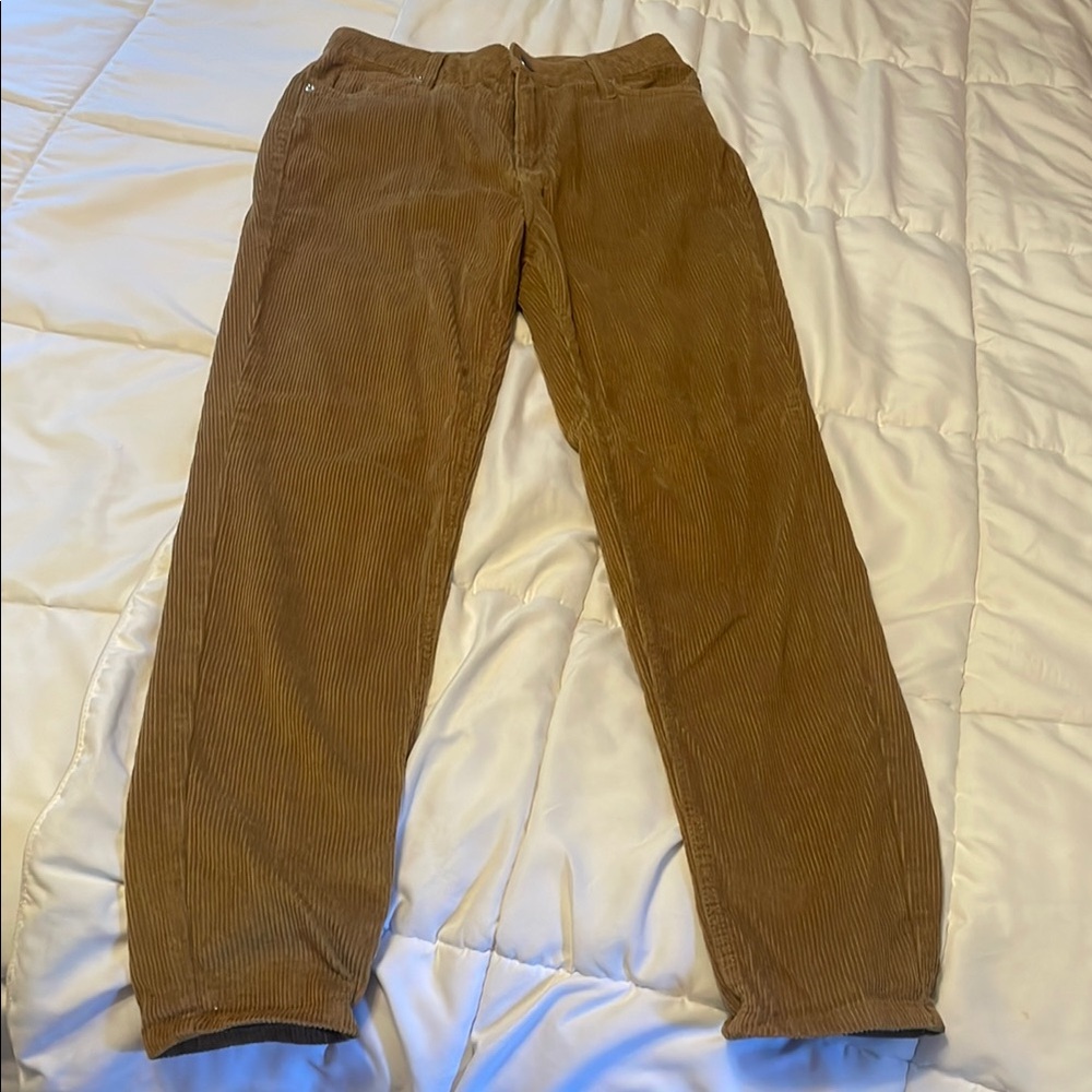 BDG women’s  Brown Corduroy Pants Urban Outfitter 26 waist 31 inseam Fall pants